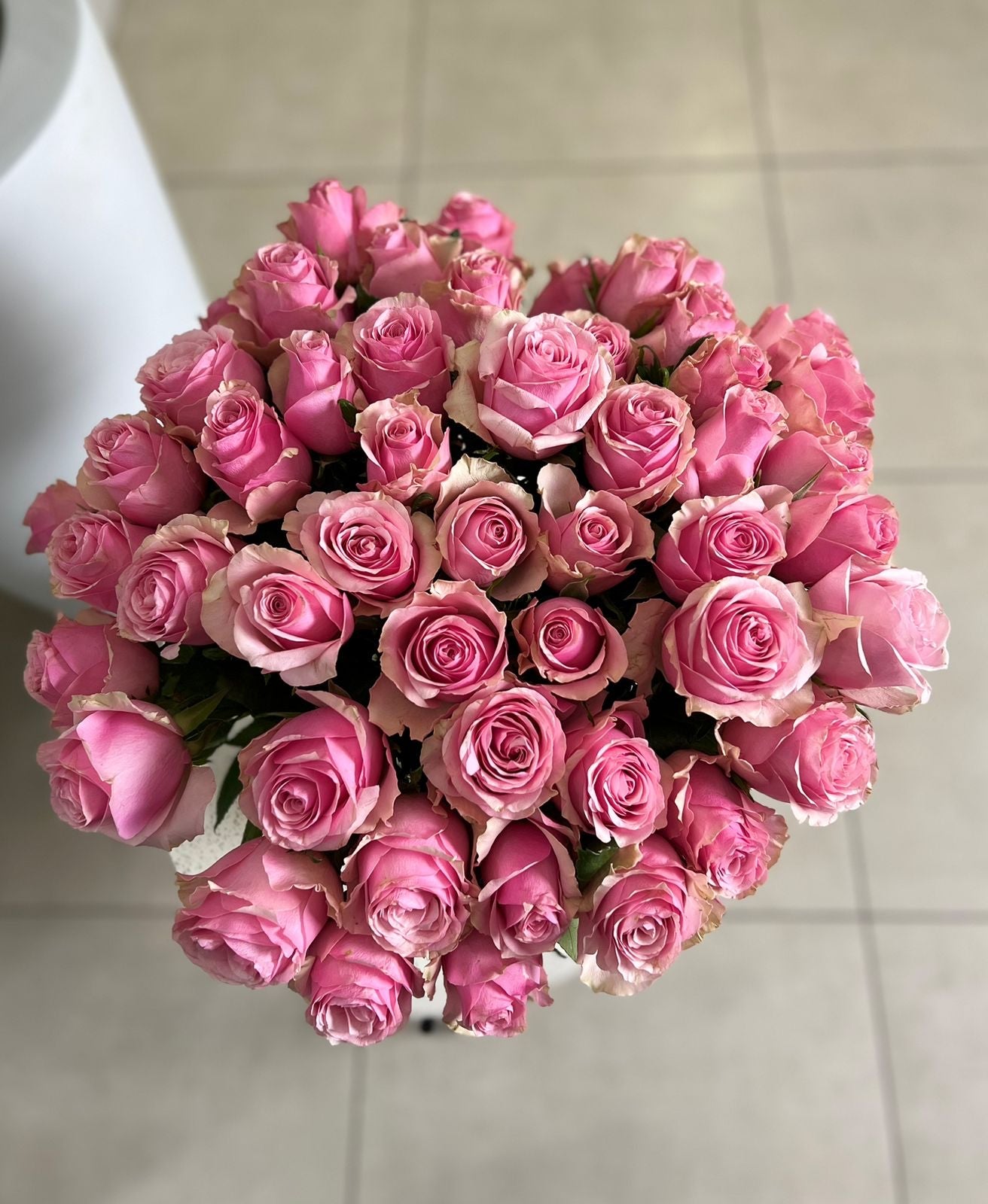 PINK ROSES IN A VASE