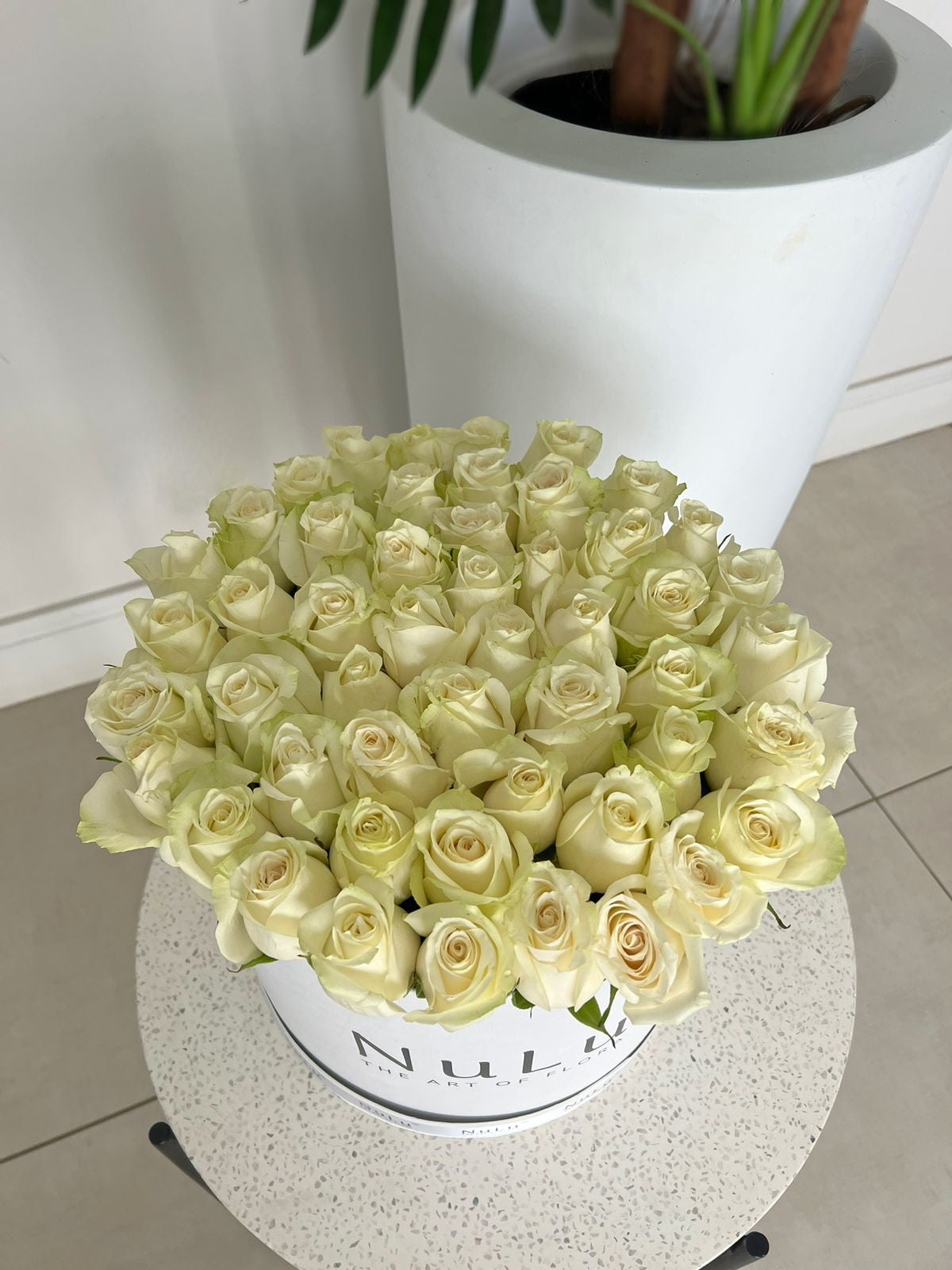 WHITE ROSES IN A BOX