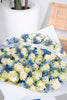 WHITE ROSES WITH BLUE GYP