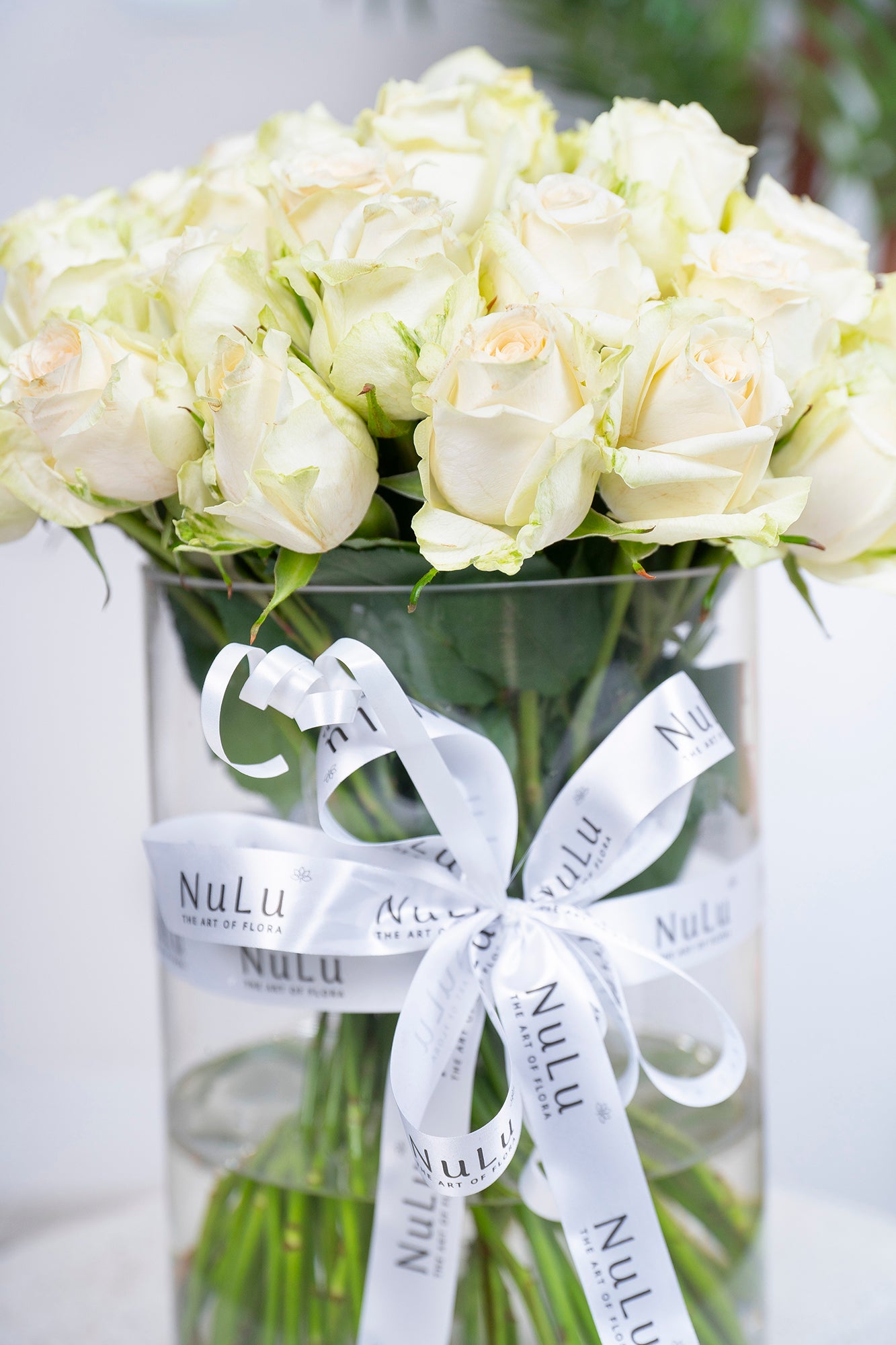 WHITE ROSES IN A VASE