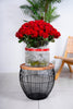 RED ROSES IN A VASE